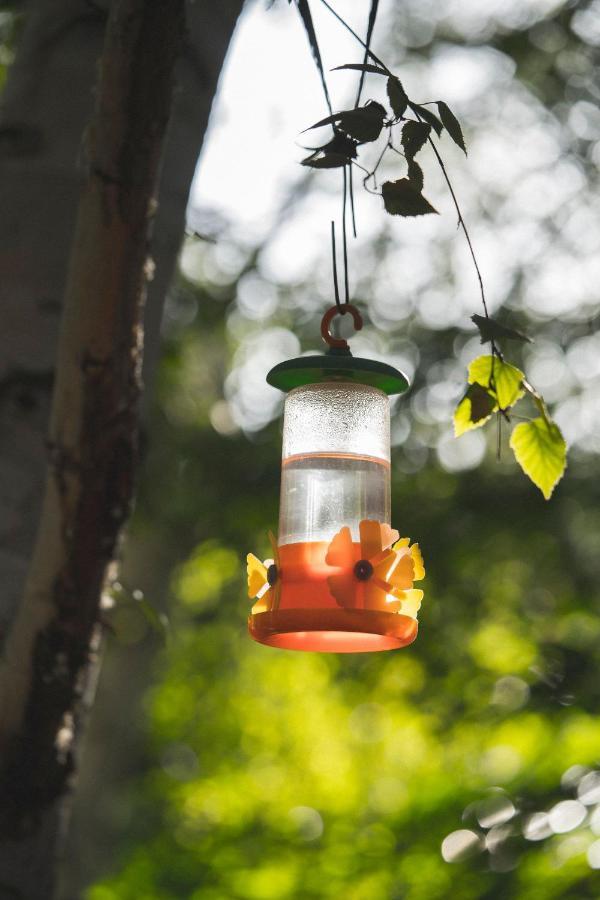 El Colibrí Cabañas de la Naturaleza Trelew Exterior foto